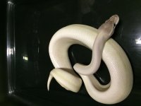 IMG_3513.jpg
