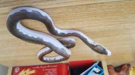 20160831_152604.jpg