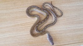20160602_092153.jpg
