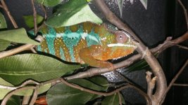 IMG_0250.jpg