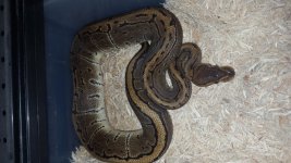 20160930_033932.jpg