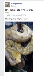 CraigMartin1.PNG