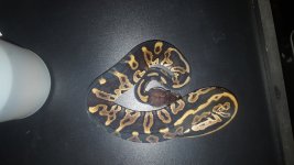 20161009_105534.jpg