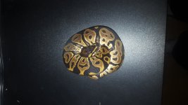 20161009_105825.jpg