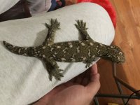 QQ??20160901103128.jpg