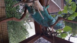 20160923_192937.jpg