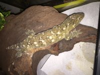 QQ??20160901103134.jpg