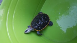 20160627_183245.jpg