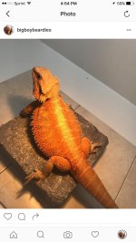 IMG_0764.jpg