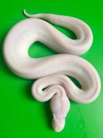 unnamed (8).jpg