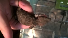 WP_20160714_12_30_16_Pro.jpg