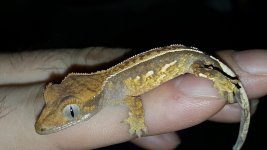 20160829_013333.jpg
