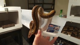 20160817_111037.jpg