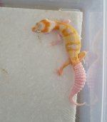 20160815_151733.jpg