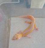 20160815_151714.jpg