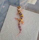 20160815_151653.jpg