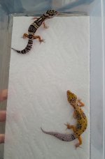 20160815_151753.jpg