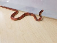 20170210_130448.jpg