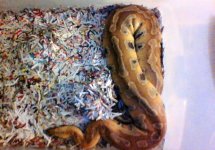 WIN_20161010_07_32_58_Pro.jpg