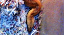 WIN_20161010_07_33_50_Pro.jpg