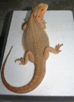 IMG_5943.jpg