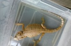 20160807_131940.jpg