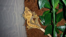 20161001_150317.jpg