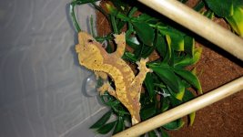 20161001_150221.jpg