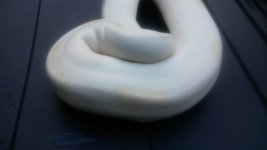20160811_155843.jpg