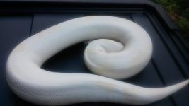 20160811_155905.jpg