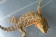 20160807_131732.jpg