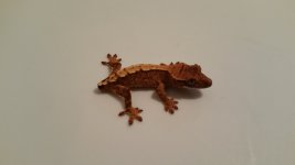 20161019_192643.jpg