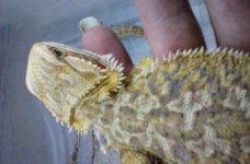 20160707_174612.jpg