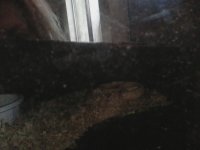 IMG_20170113_115538.jpg
