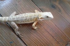 20160814_144218.jpg