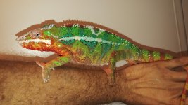 20160905_184812.jpg