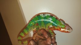 20160905_184754.jpg