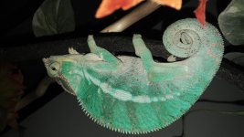 20160903_200203.jpg
