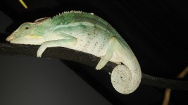 20160830_200133.jpg