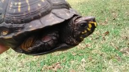 IMG_20170113_122809.jpg