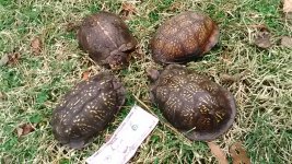 IMG_20170113_122728.jpg
