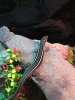 IMG_0693.jpg