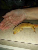 IMG_20160930_181913.jpg