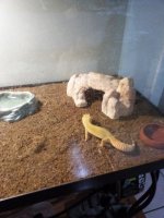 IMG_20160930_182203.jpg