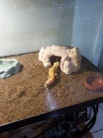 IMG_20160930_182209.jpg