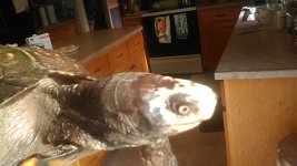 IMG_20170115_135416.jpg