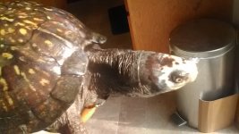 IMG_20170115_135411.jpg