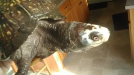 IMG_20170115_135357.jpg