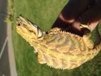 IMG_0164.jpg