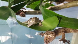 20160508_154114.jpg